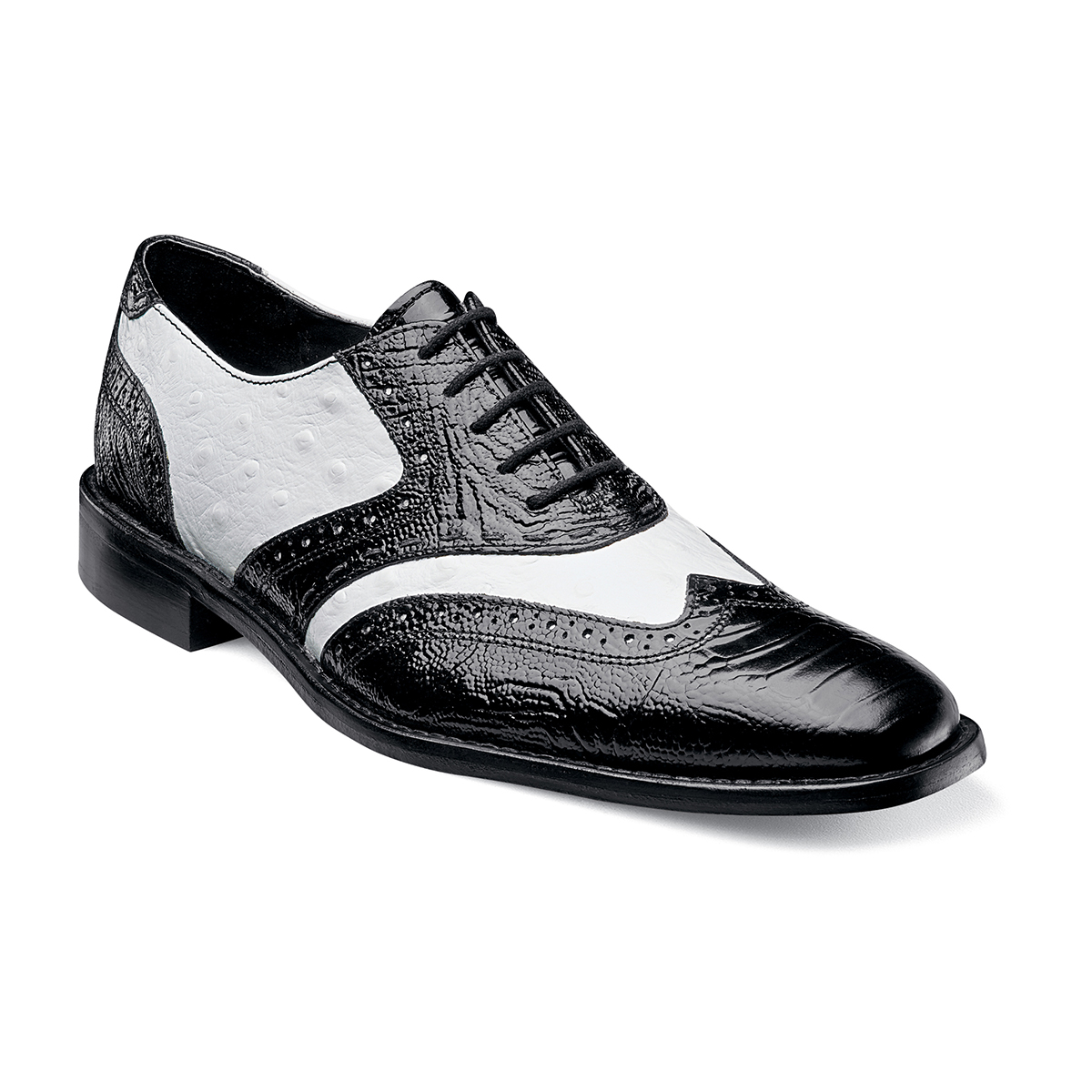 Armento in Black w/White, Front View