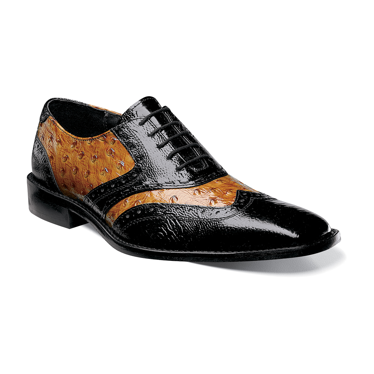 Armento in Black and Butterscotch, Front View