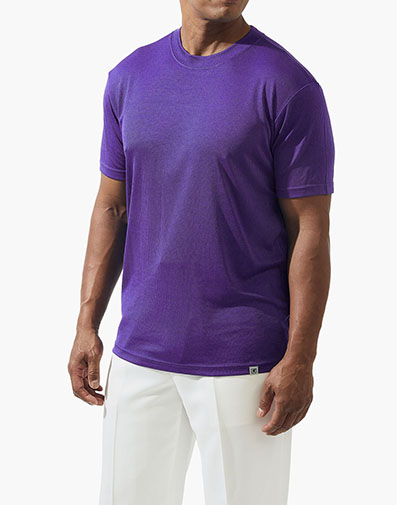 Ambrose in Purple, Front View
