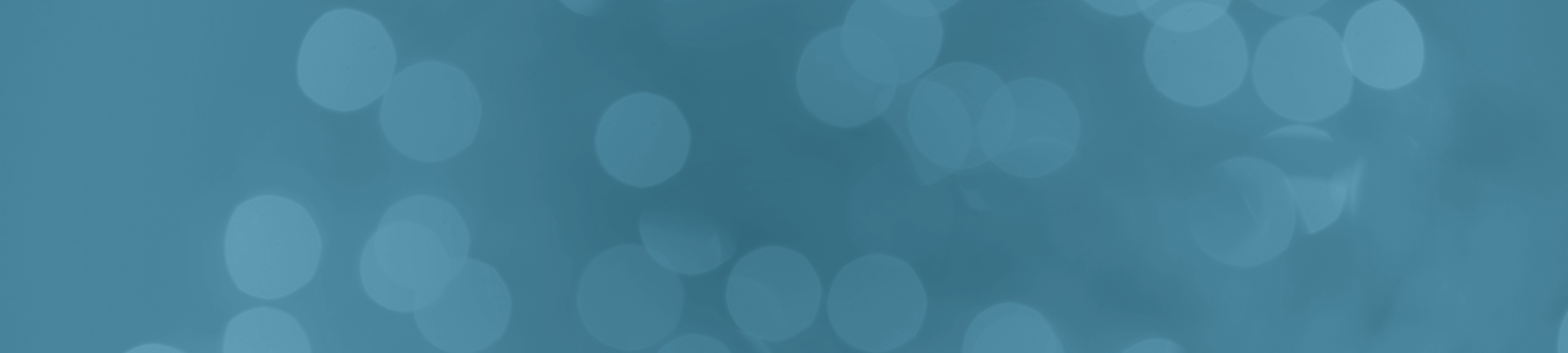 Don't miss our holiday shipping deadlines featuring a light blue backround.