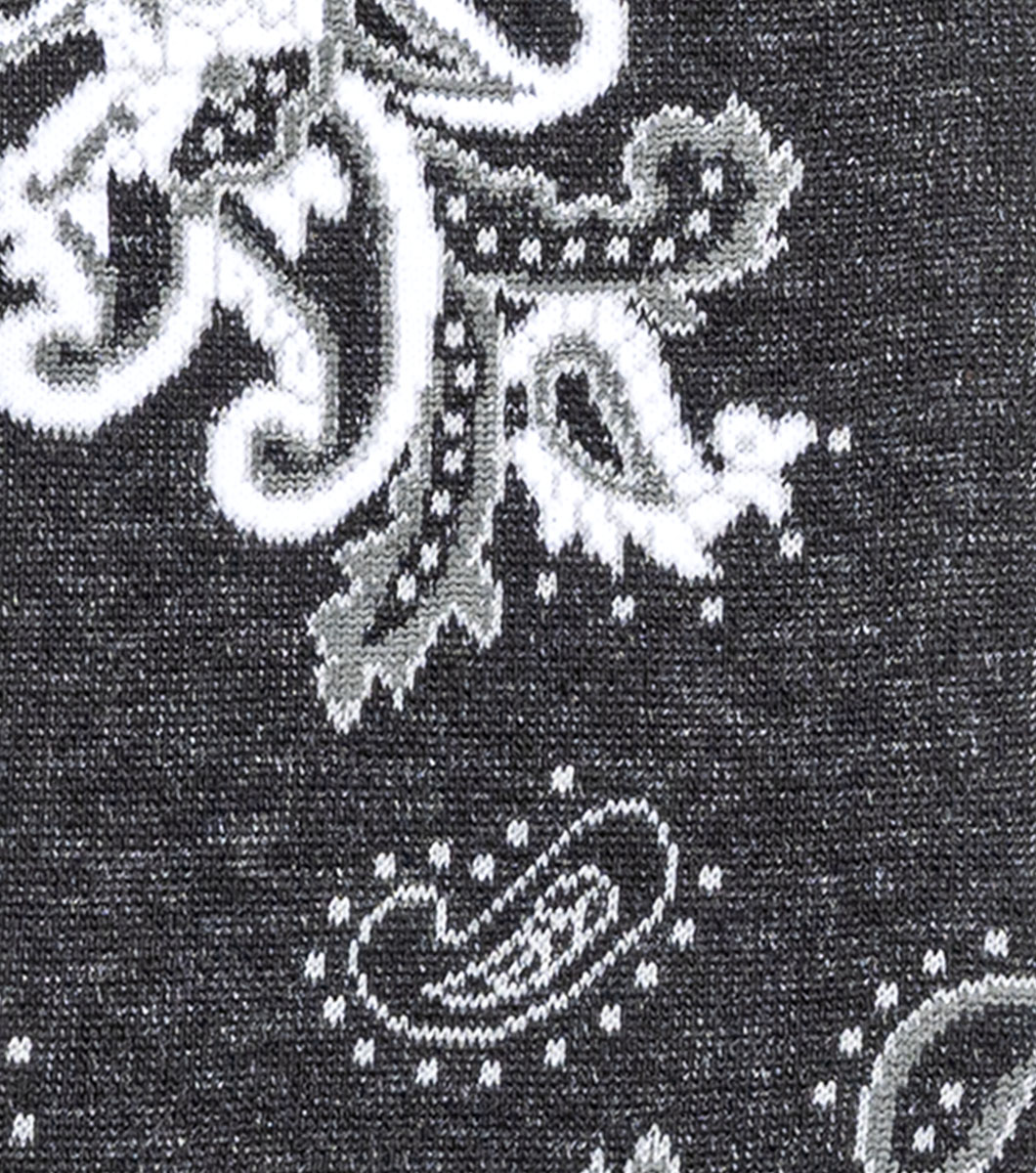 Bold Paisley in Black Rotate View