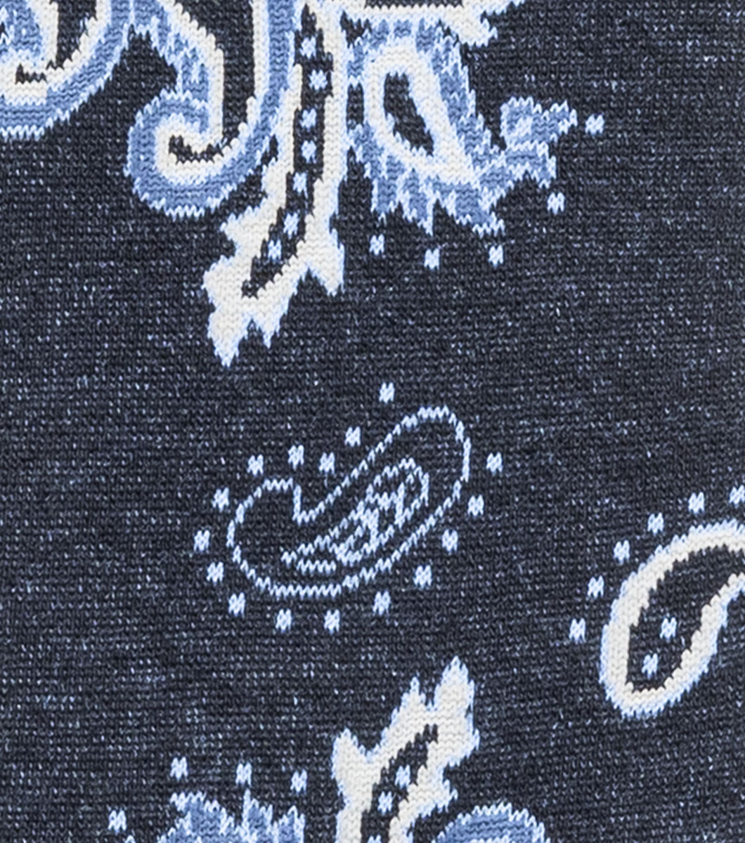 Bold Paisley in Navy Rotate View