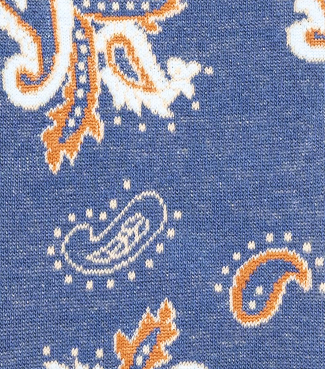Bold Paisley in Navy/Brown Rotate View
