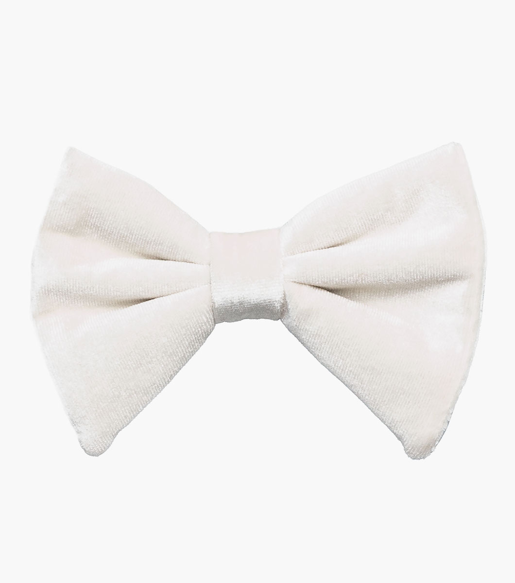 Spratley in Ivory, View 2