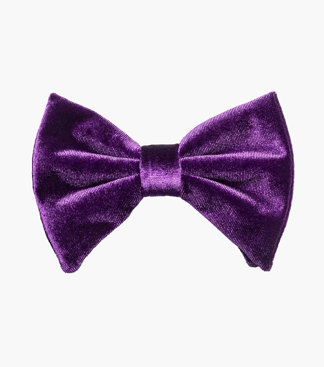 Spratley in Purple, View 2