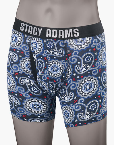 Boxer Brief Performance Fabric in Blue for $22.00
