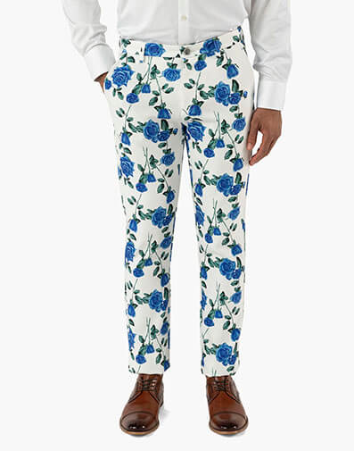 Flynn Dress Pants in Blue Multi for $$39.90