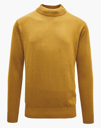 Asher Mock Neck Sweater in Gold for $$79.00