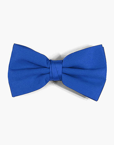 Perth Bow Tie in Royal for $$12.00