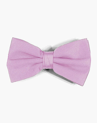 Perth Bow Tie in Lilac for $$12.00