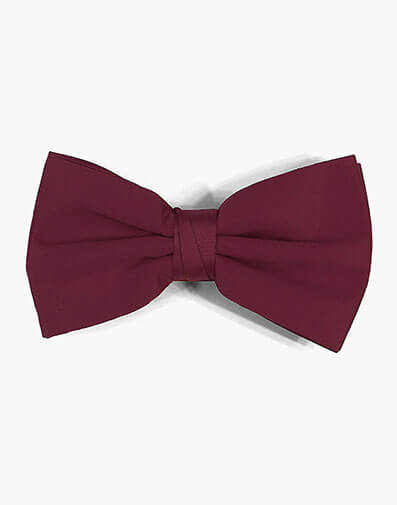 Perth Bow Tie in Burgundy for $$12.00
